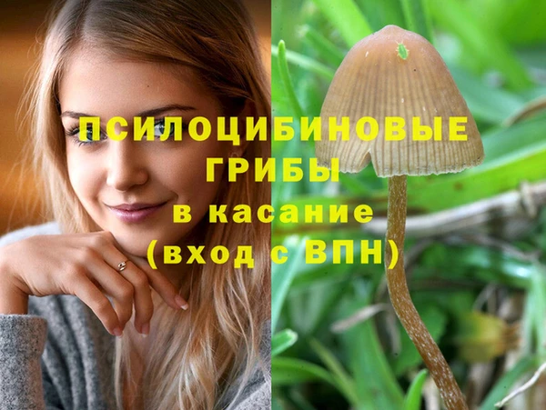 соль ск Касимов
