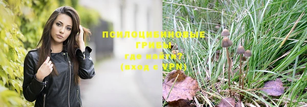 прущая мука Каменногорск