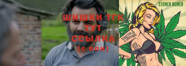соль ск Касимов