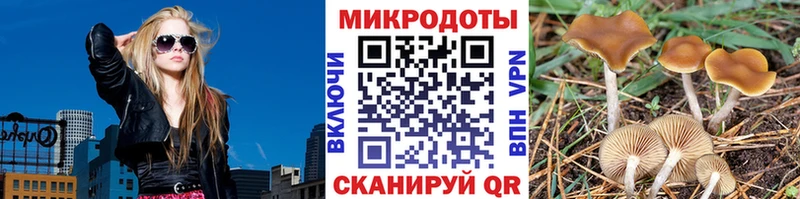 Галлюциногенные грибы MAGIC MUSHROOMS  Котлас 