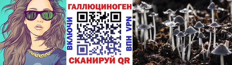 Галлюциногенные грибы прущие грибы Котлас