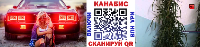 ОМГ ОМГ как зайти  Котлас  Бошки Шишки Amnesia 